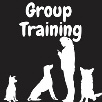 group dog training